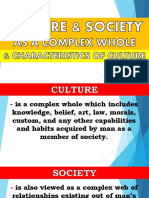 Culture and Society Complex and Characteristics PDF