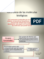 Natualeza de Las Moleculas Biologicas PDF