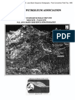 N.E. Java Basin Sequence Stratigraphy