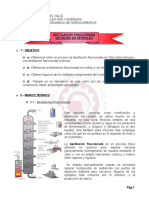 Trabajo Práctico 1 - Destilación Fraccionada de Crudo de Petroleo