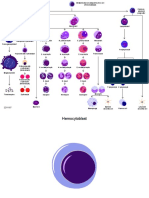 Toolkit Biology 01 Cell