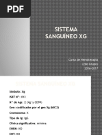 Sistema XG Presentacion