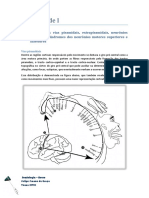 Resumo - Semiologia Neurologia