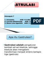 Gastrulasi Kel 7