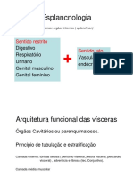 1 Esplancnologia PDF