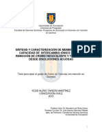 Tesis Sintesis y Caracterizacion de Membranas - Image.marked
