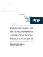 Oleos Essenciais PDF