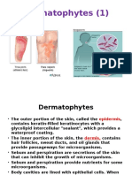 Myco - 05 - Dermatophyte & Asperagillus