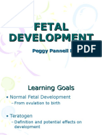 Fetal Development