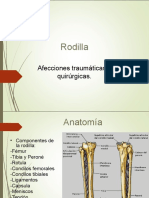 Final Rodilla