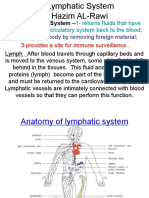 The Lymphatic System - : 1-Returns Fluids That Have Leaked From The Circulatory System Back To The Blood