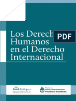 DDHH Derecho Internacional PDF