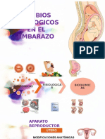 Cambios Fisiologicos en El Embarazo