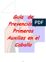 Web Guía de Prevención y Primeros Auxilios en El Caballo