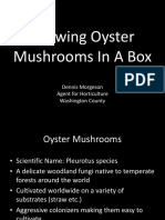 Growing Oyster PDF