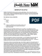 Infertility in Cattle