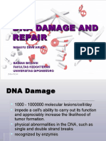 Dna Damage and Repair