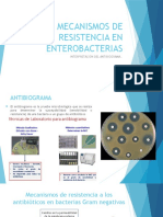 Mecanismos de Resistencia en Enterobacterias