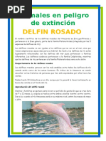 Animales en Extinsion