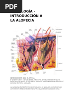 Tricología - Introducción A La Alopecia