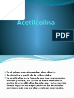 Acetilcolina