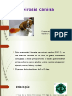 Parvovirosis Canina DEISY V.C