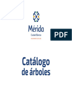 Catálogo de Árboles