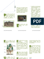 La Tala de Bosques Folleto Ojo