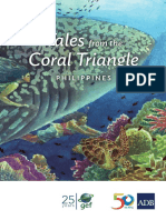 Coral Triangle Phi