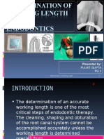 Determination of Working Length