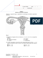 Bio12 Ficha 1 Final