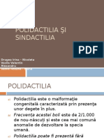 Polidactilia Şi Sindactilia