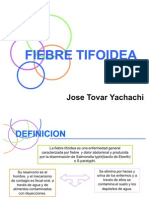 Tifoidea Tovar Seminario