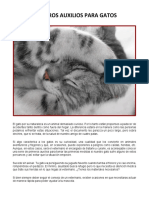 Primeros Auxilios para Gatos