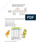 Alimentación de Pollo de Engorde