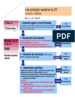 CAM ICU Flowsheet Spanish