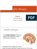 Medulla Oblongata: Mohsen Alenezi Fawaz Alreshedy