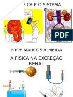 Biofisica Renal Apresentação