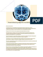 Neurociencia y Deporte