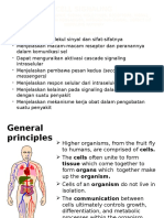 Signaling Pathways Powerpoint