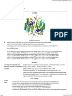 Caspase 2 PDF