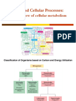 BT1000 - Cellular Metabolism PDF