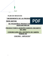 Plan de Negocios de Produccion de Papa Nativa - Docx Final. Semi PDF