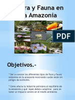 Presentacion Flora y Fauna en La Amazonia