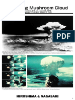 Hiroshima Nagasaki PDF