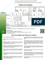 Chayote PDF