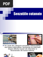 Senzatiile Cutanate 207 - Great