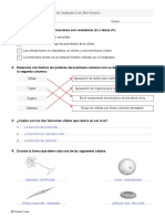 Naturales 5 CVal Ref y Amp Sol