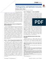 Candida Albicans: Pathogenicity and Epithelial Immunity