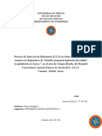 Proceso de Atencion de Enfermeria de Mastitis